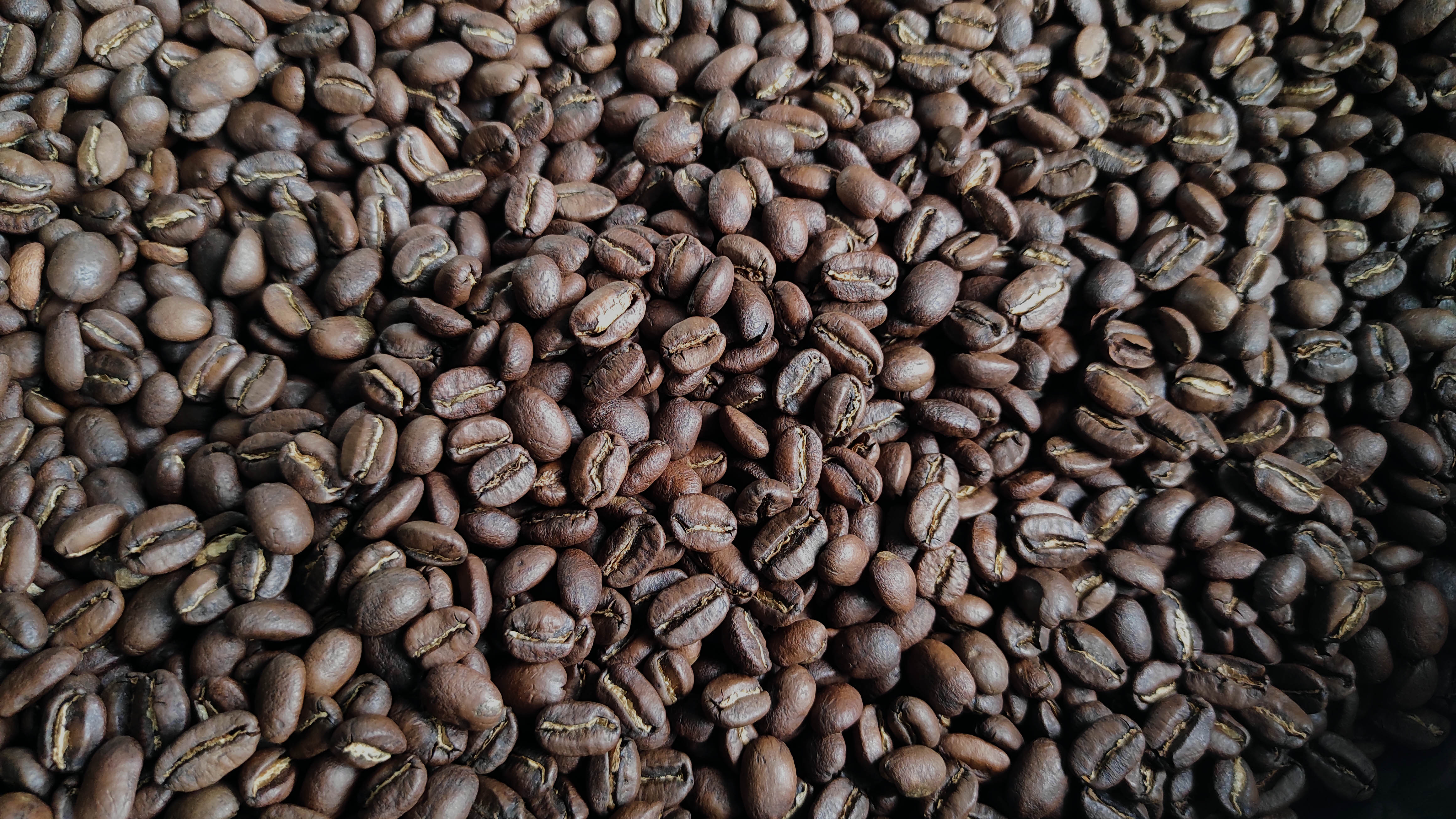 Roasted Coffee bean Arabika Gayo